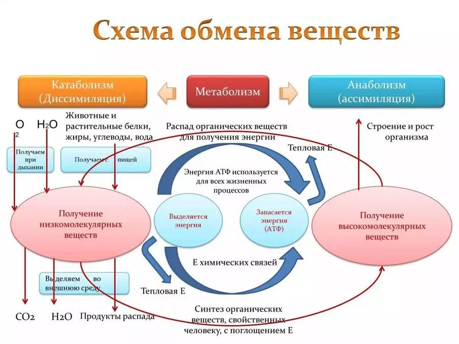 Солдаты (телесериал) — Википедия