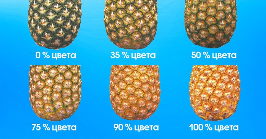 Как выбрать действительно полезный ананас